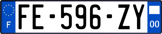 FE-596-ZY