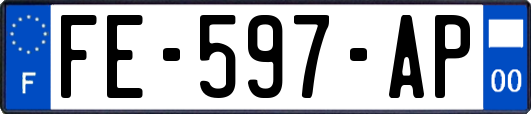 FE-597-AP