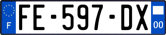 FE-597-DX
