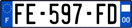 FE-597-FD