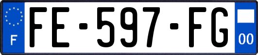 FE-597-FG