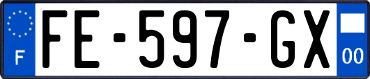 FE-597-GX