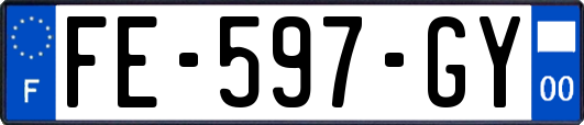 FE-597-GY