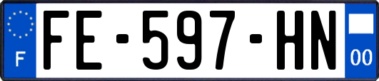 FE-597-HN