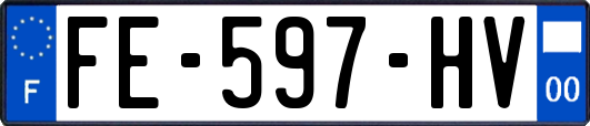 FE-597-HV