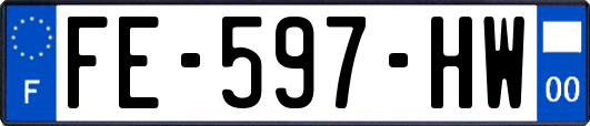 FE-597-HW