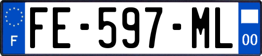 FE-597-ML