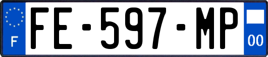 FE-597-MP