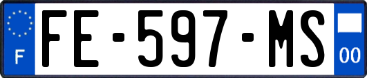 FE-597-MS