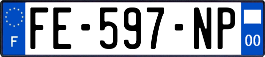 FE-597-NP