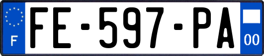 FE-597-PA