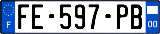 FE-597-PB