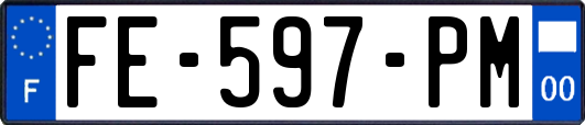 FE-597-PM