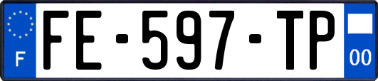 FE-597-TP