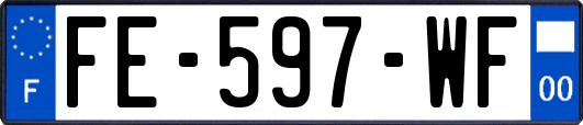 FE-597-WF