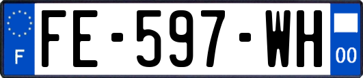 FE-597-WH