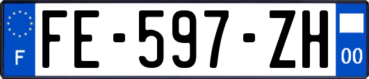 FE-597-ZH