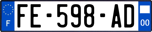 FE-598-AD