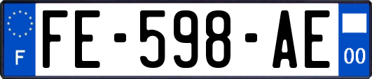 FE-598-AE