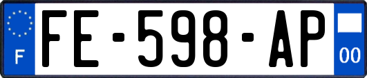 FE-598-AP