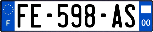 FE-598-AS