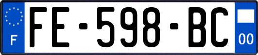 FE-598-BC