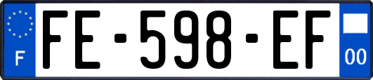 FE-598-EF