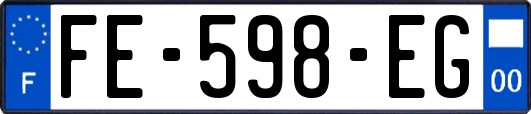 FE-598-EG