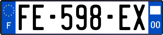 FE-598-EX