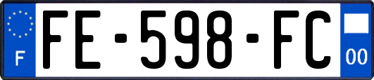 FE-598-FC