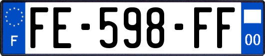 FE-598-FF