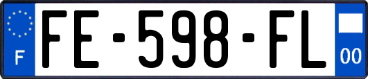 FE-598-FL
