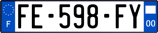 FE-598-FY