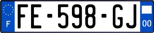FE-598-GJ