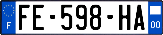 FE-598-HA
