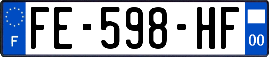 FE-598-HF
