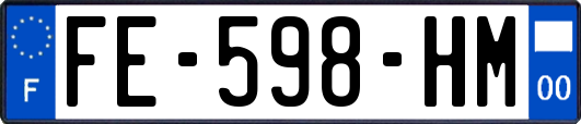 FE-598-HM