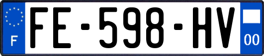 FE-598-HV