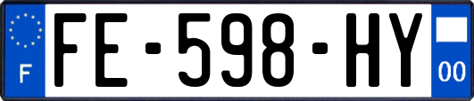 FE-598-HY