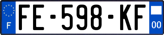 FE-598-KF