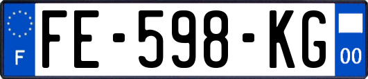 FE-598-KG