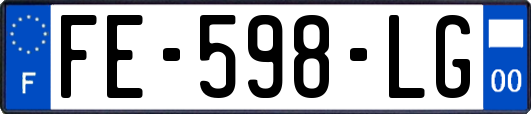FE-598-LG
