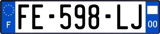 FE-598-LJ