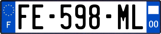 FE-598-ML