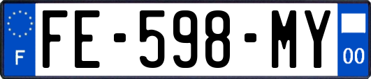 FE-598-MY