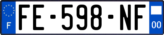 FE-598-NF