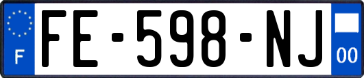 FE-598-NJ