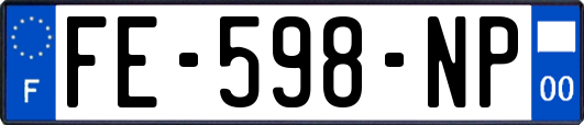 FE-598-NP