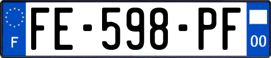 FE-598-PF