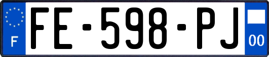 FE-598-PJ